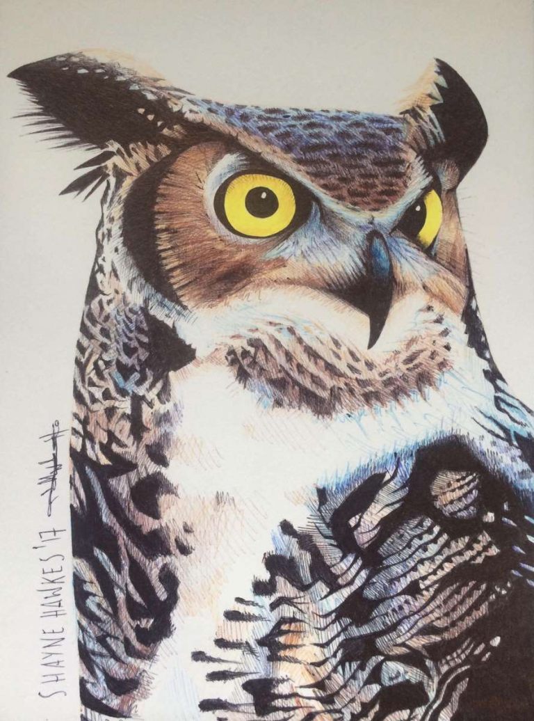 Eagle owl by Shayne Hawkes